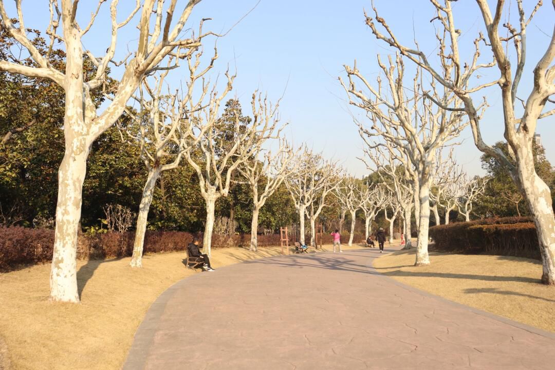 黄兴公园旅行图片 3