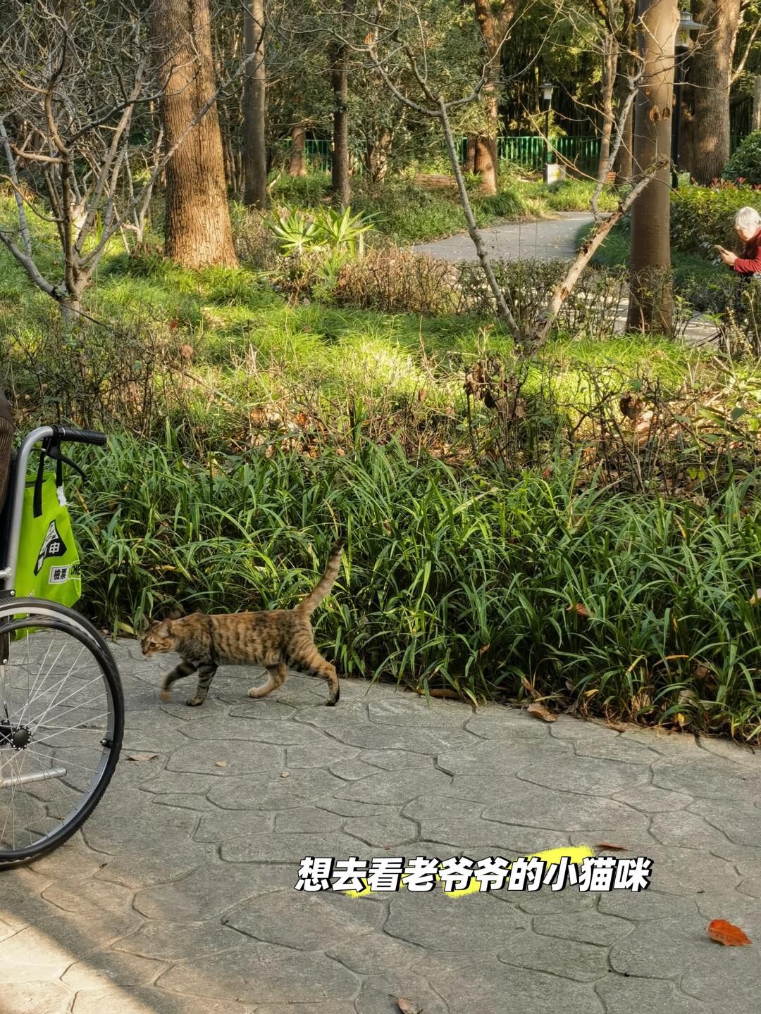 黄兴公园旅行图片 2