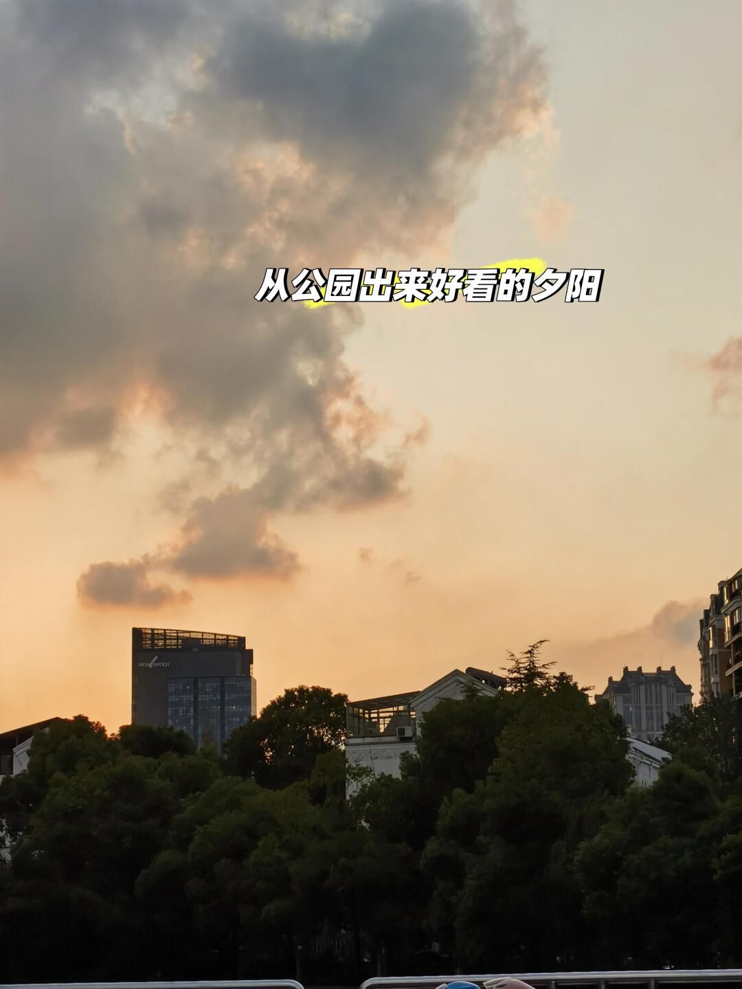 黄兴公园旅行图片 3