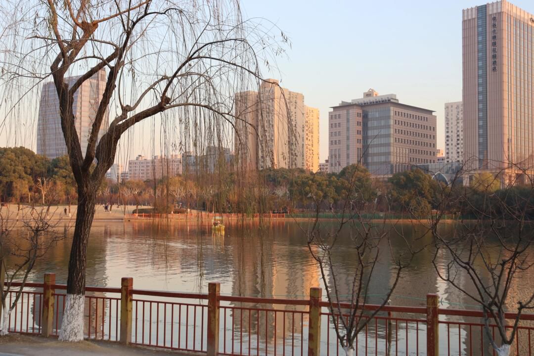 黄兴公园旅行图片 3