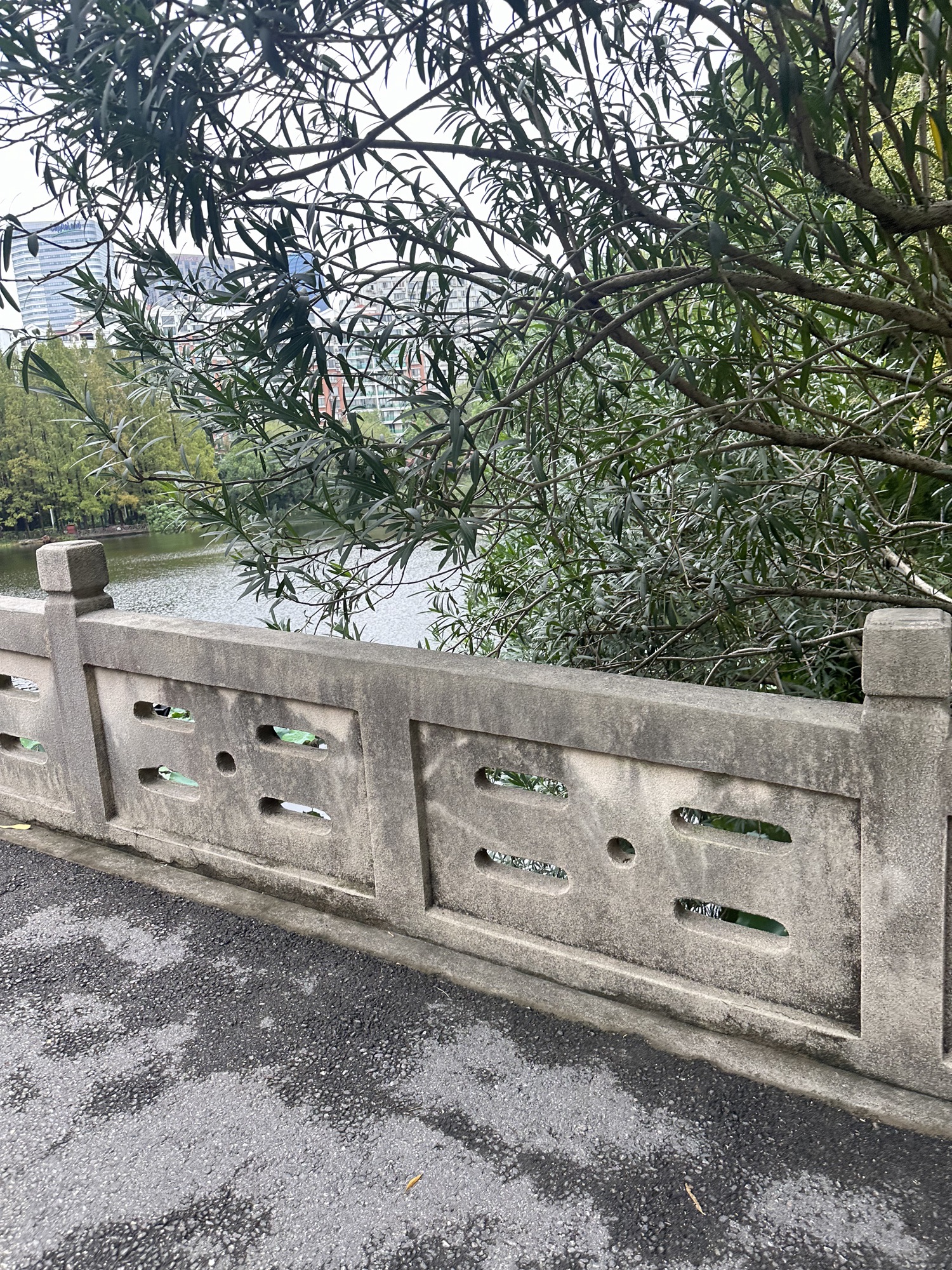 天山公园旅行图片 1