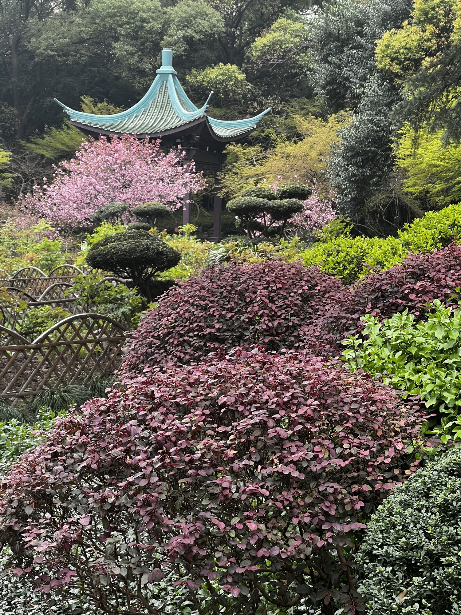 天山公园旅行图片 2