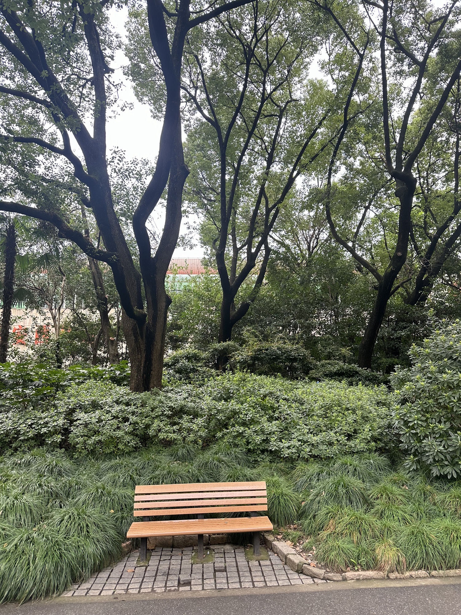 天山公园旅行图片 2