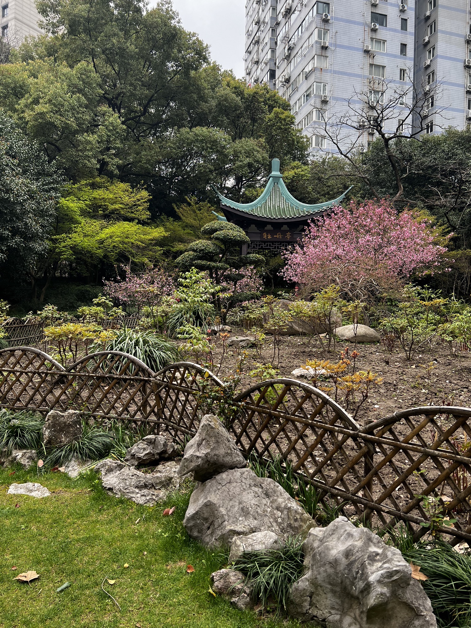 天山公园旅行图片 3