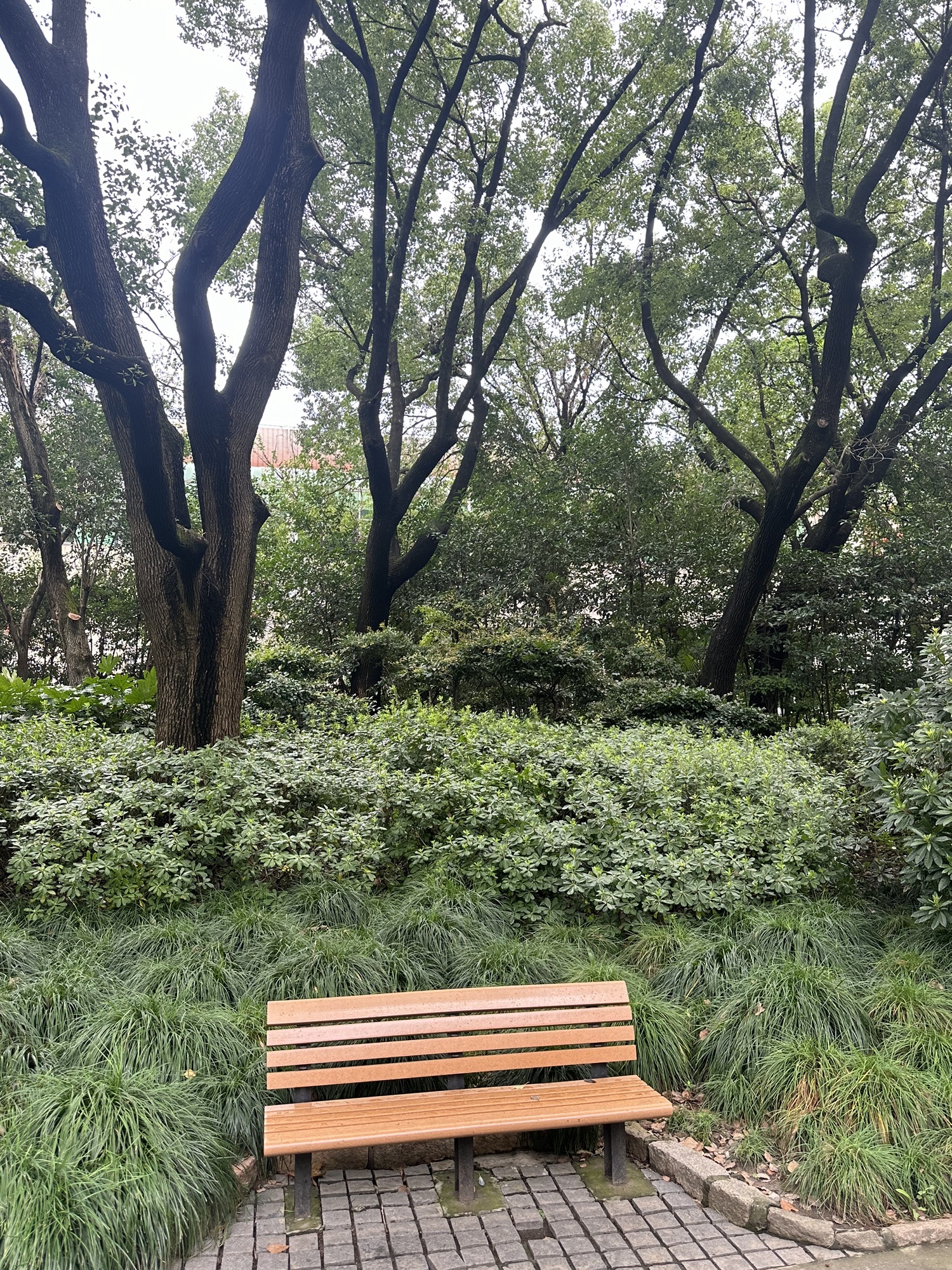 天山公园旅行图片 3