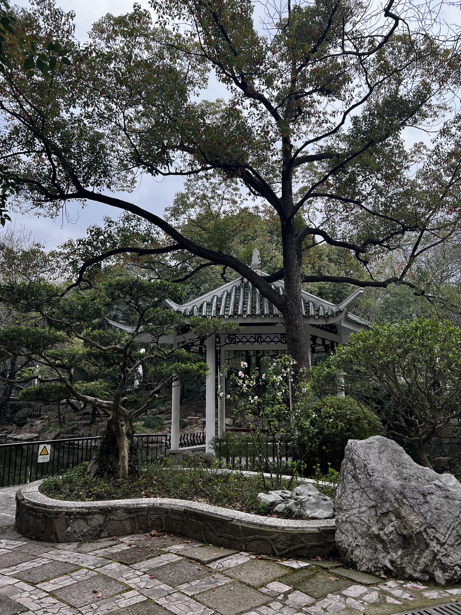 天山公园旅行图片 1