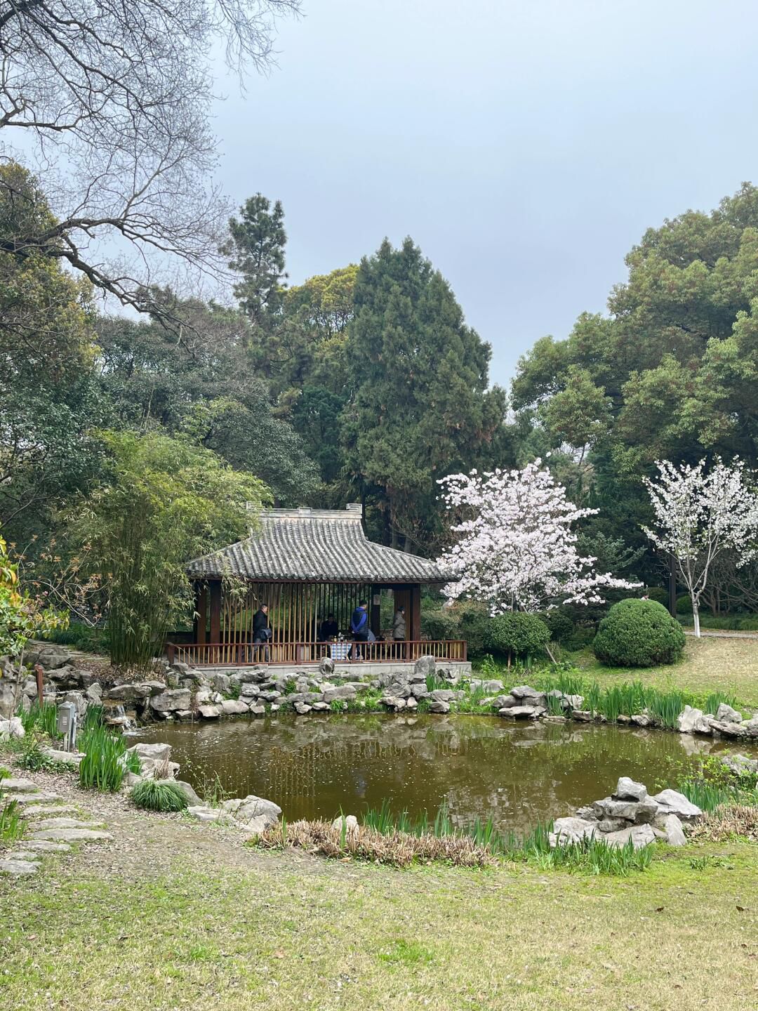 复兴岛公园旅行图片 3