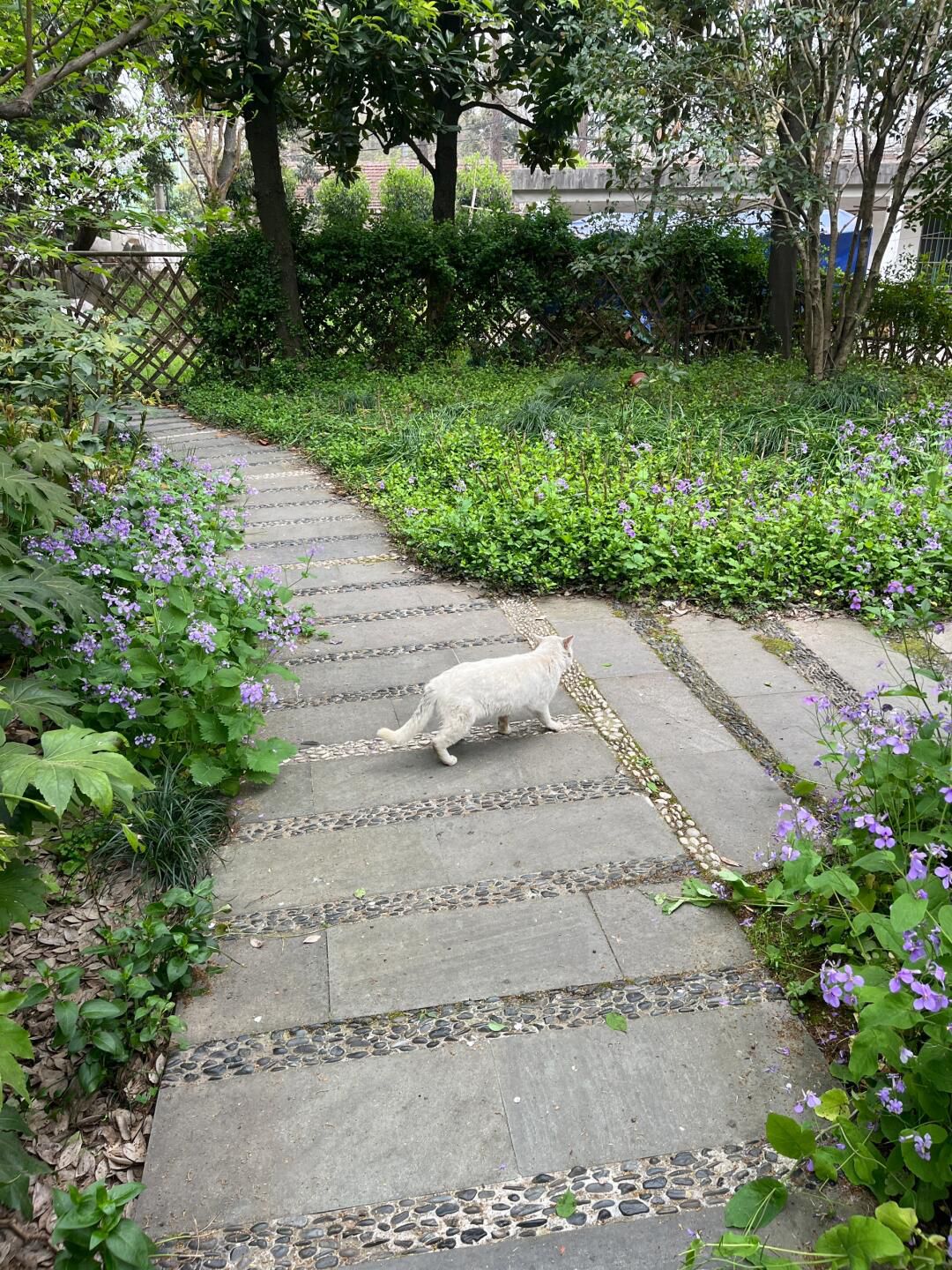 复兴岛公园旅行图片 3
