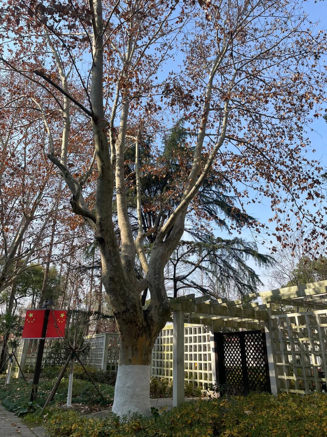 复兴岛公园旅行图片 2