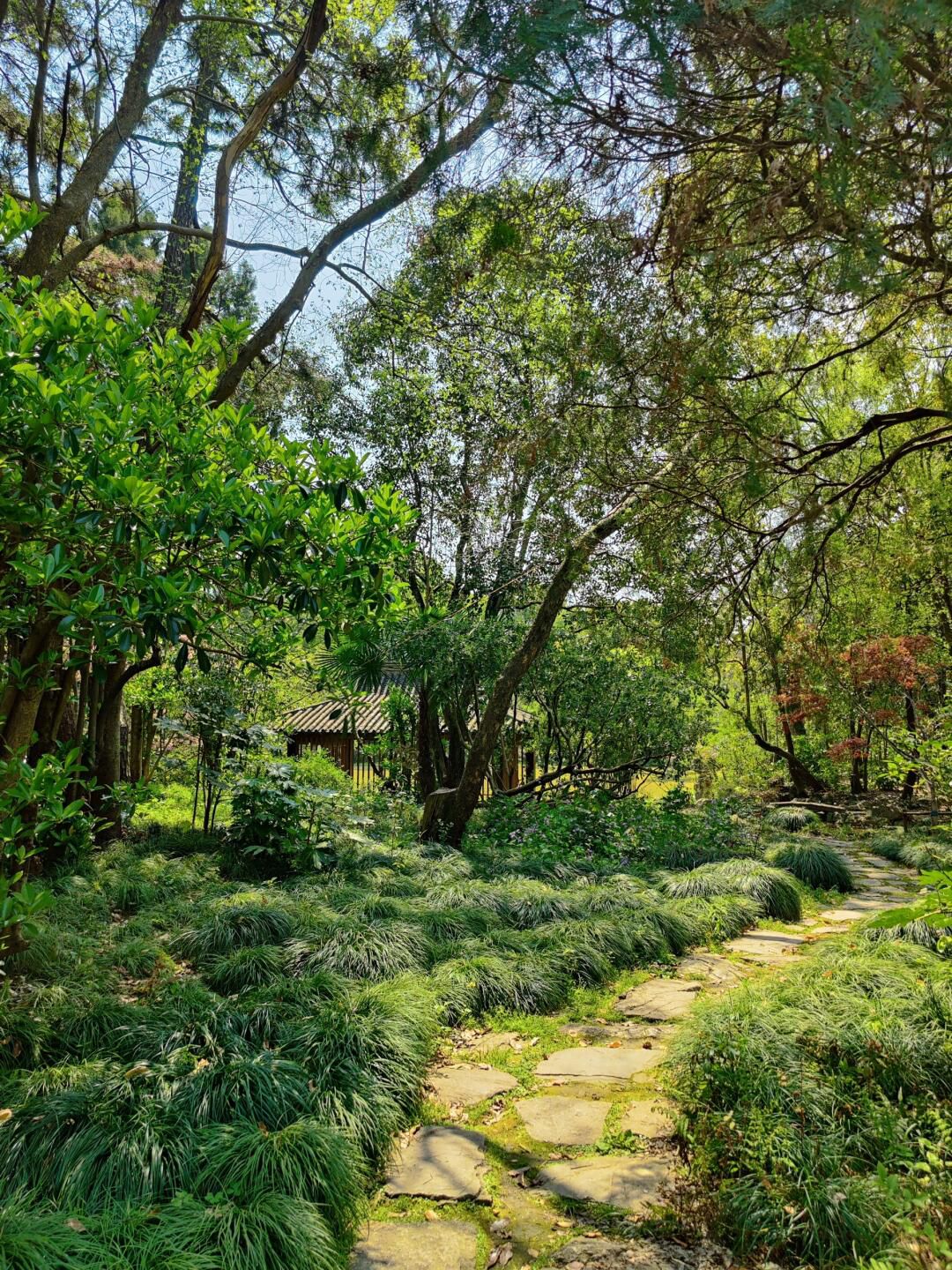 复兴岛公园旅行图片 2