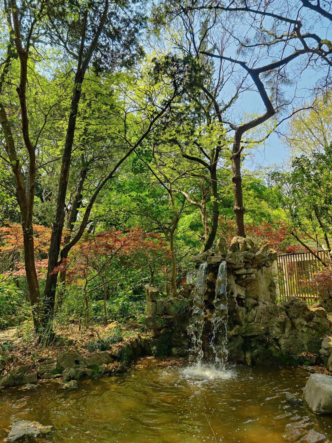 复兴岛公园旅行图片 3