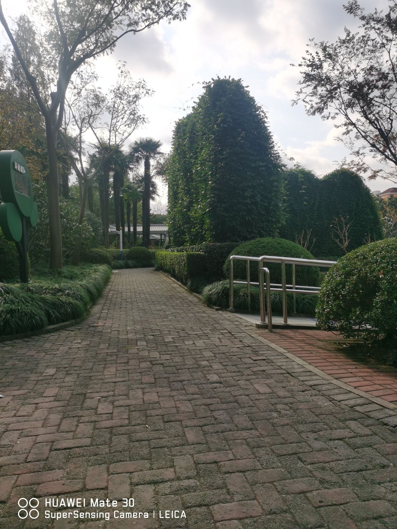 蔓趣公园旅行图片 2