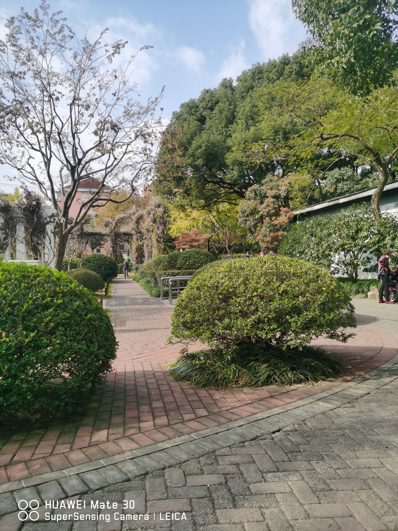 蔓趣公园旅行图片 1