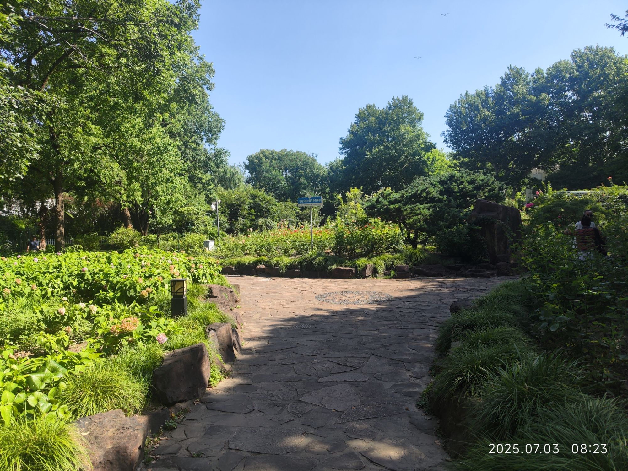 上海世纪公园旅行图片 1
