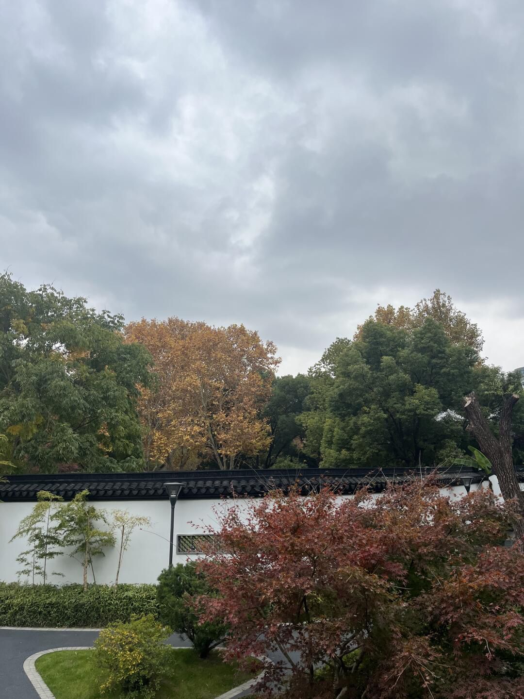 闸北公园旅行图片 2
