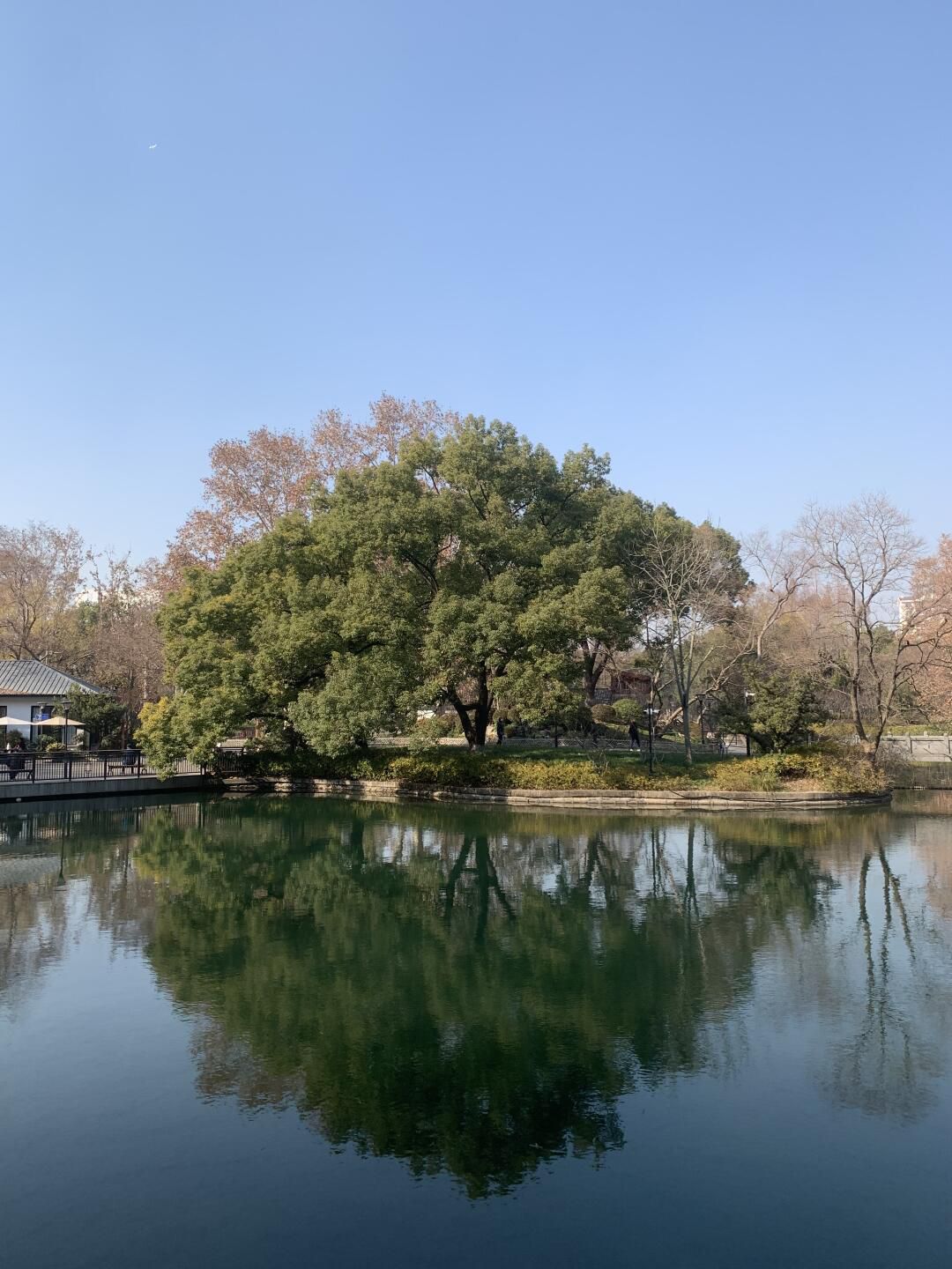 闸北公园旅行图片 1