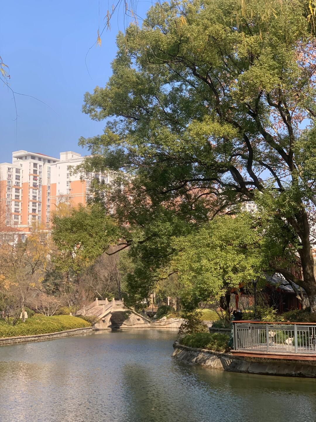 闸北公园旅行图片 3