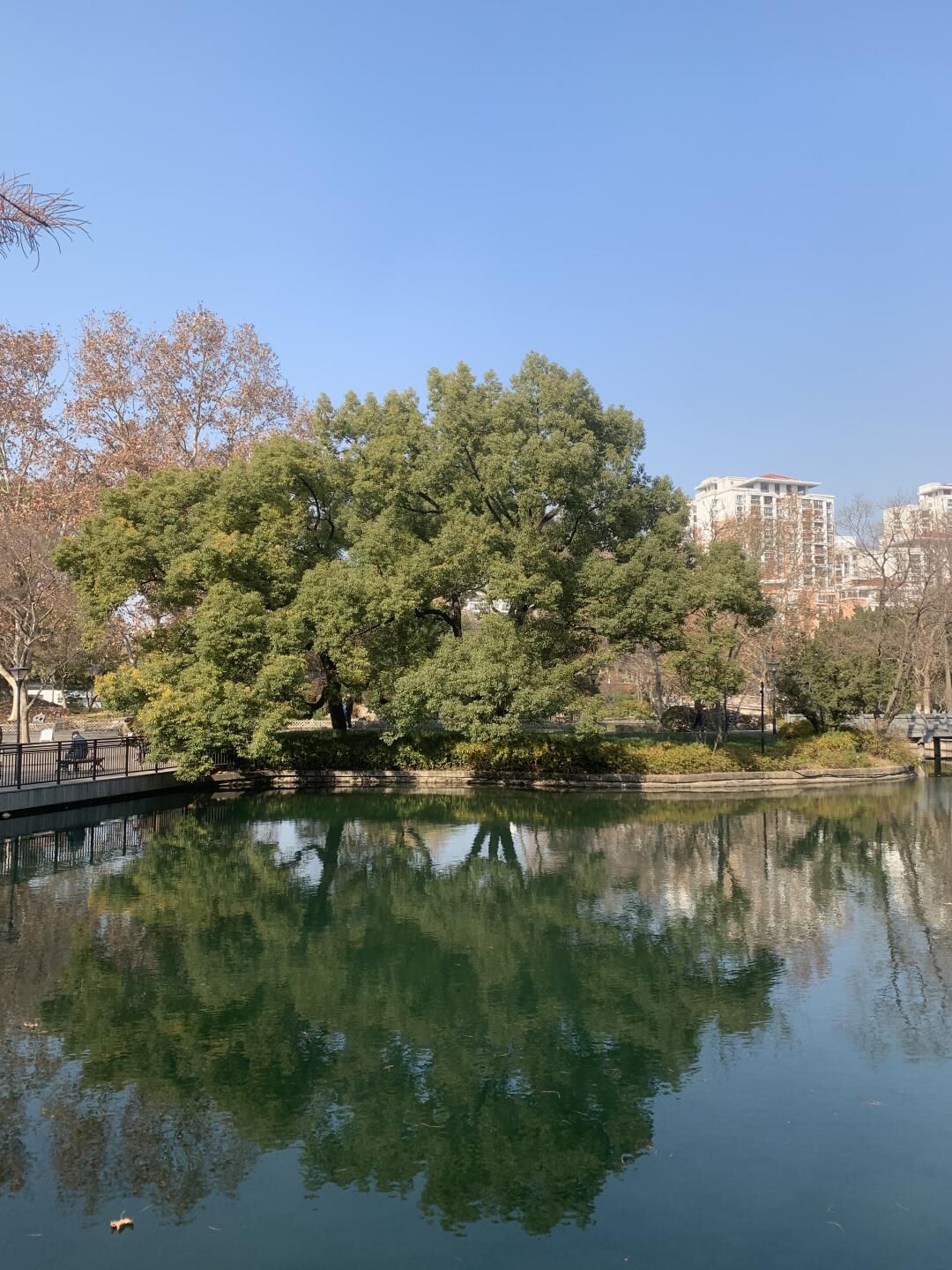 闸北公园旅行图片 2