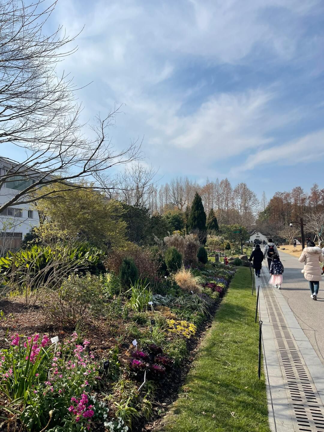 上海植物园旅行图片 3