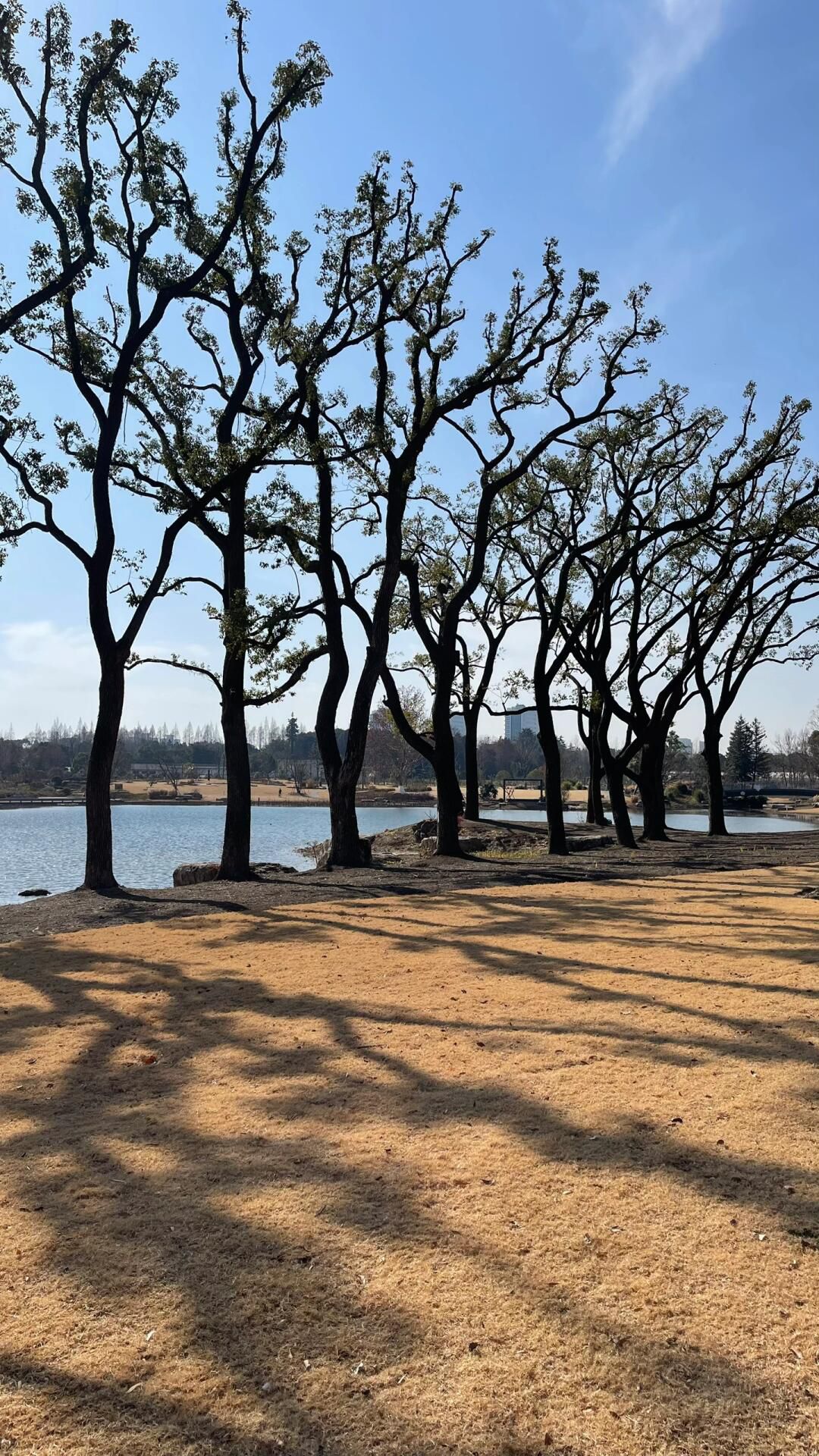上海植物园旅行图片 3