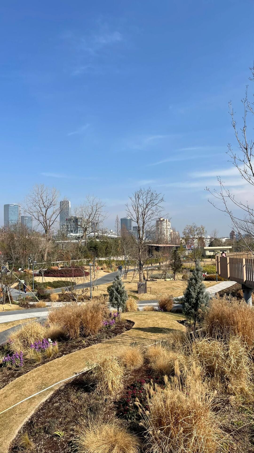 上海植物园旅行图片 2