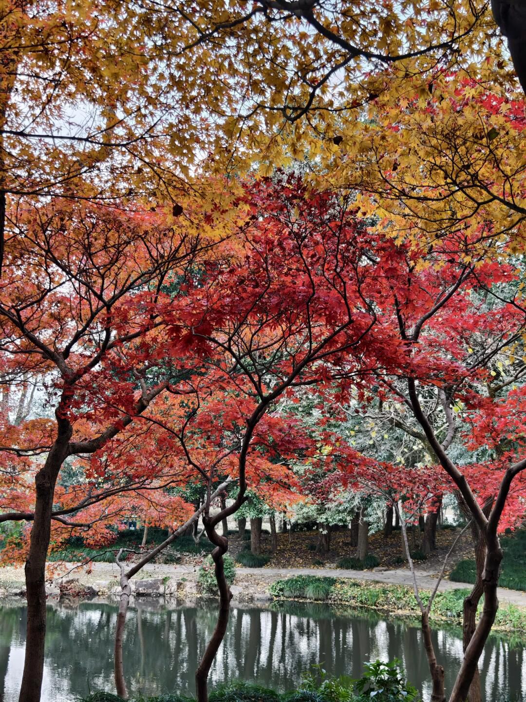 上海植物园旅行图片 3