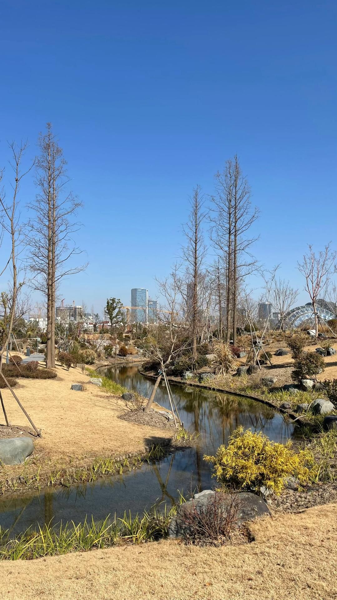 上海植物园旅行图片 2
