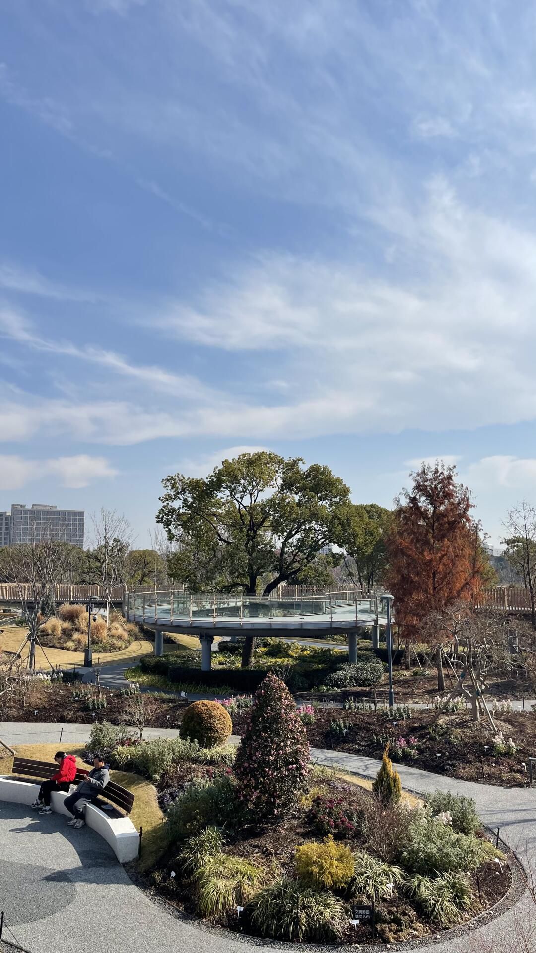 上海植物园旅行图片 1