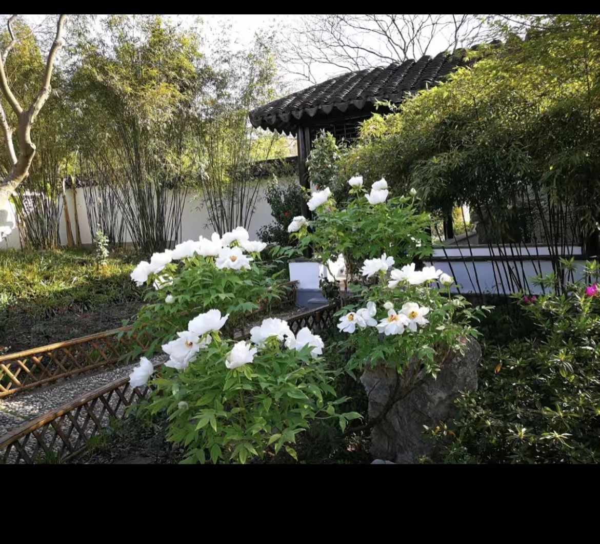 荟萃园旅行图片 1