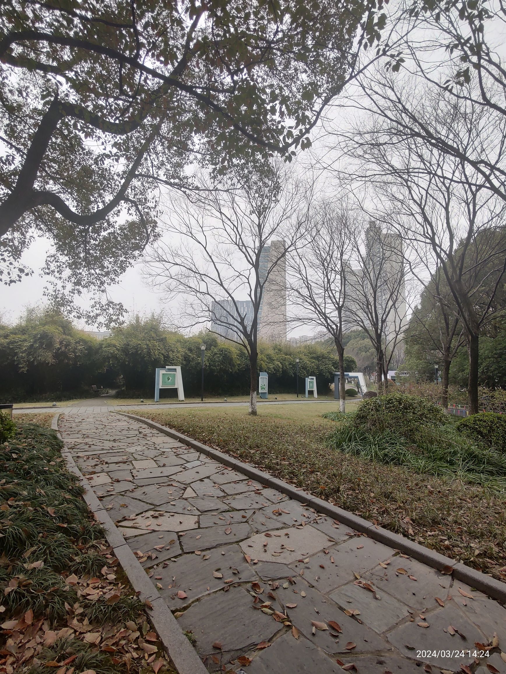 莘城中央公园旅行图片 1