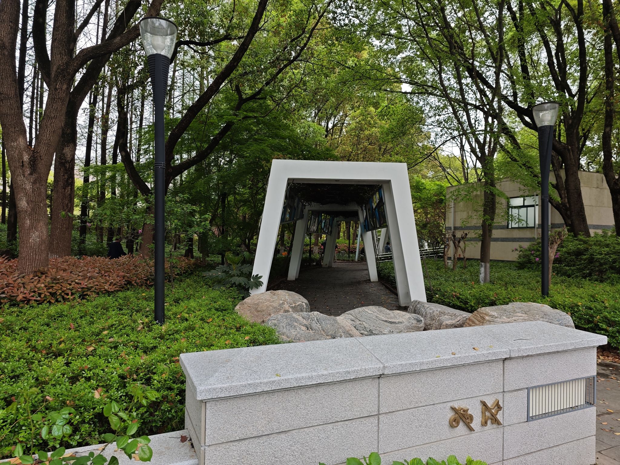 莘城中央公园旅行图片 3