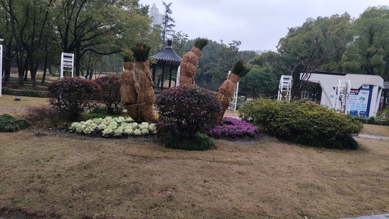 莘城中央公园旅行图片 3