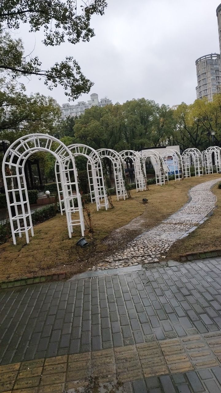 莘城中央公园旅行图片 2