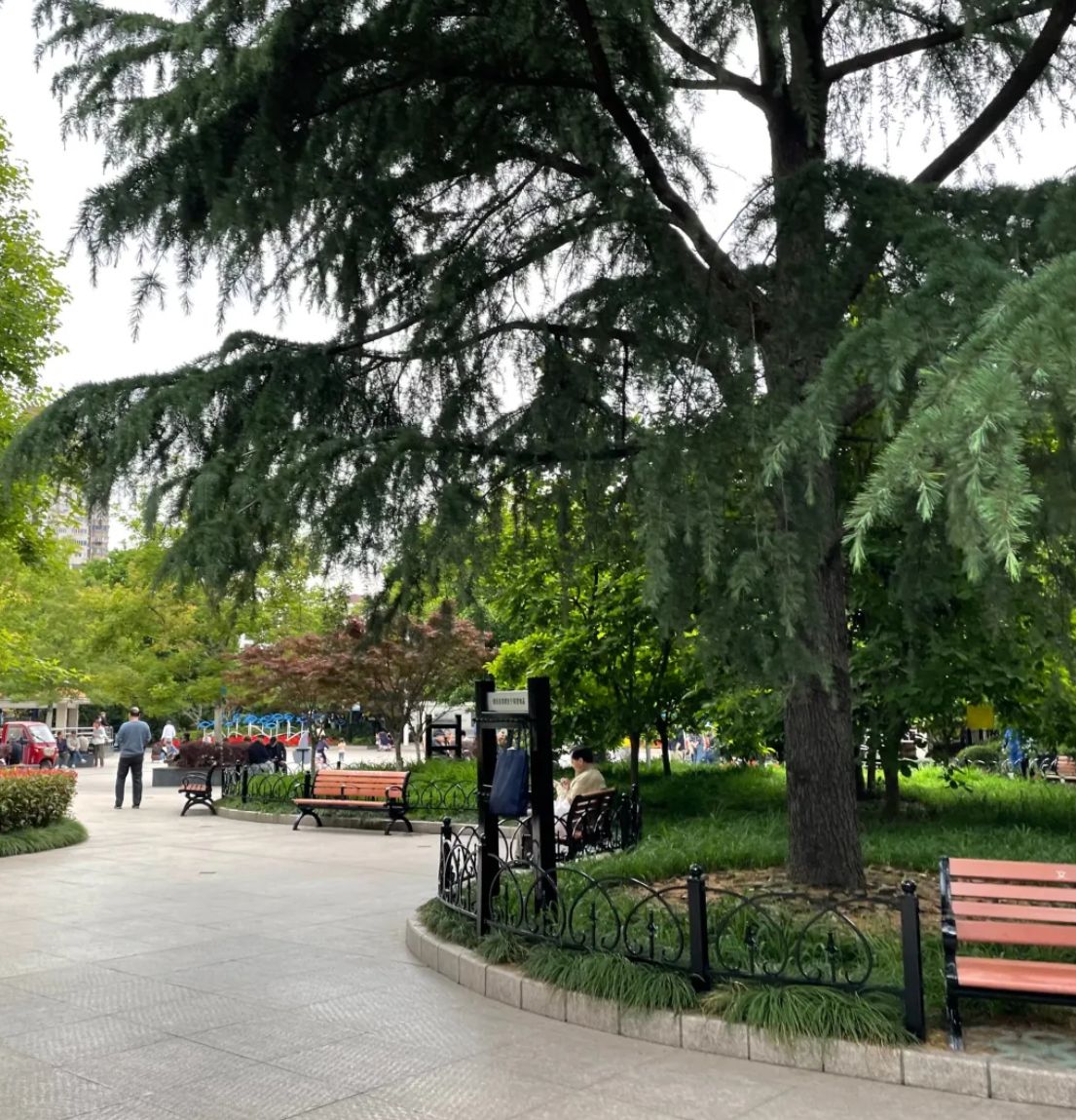 凉城公园旅行图片 3