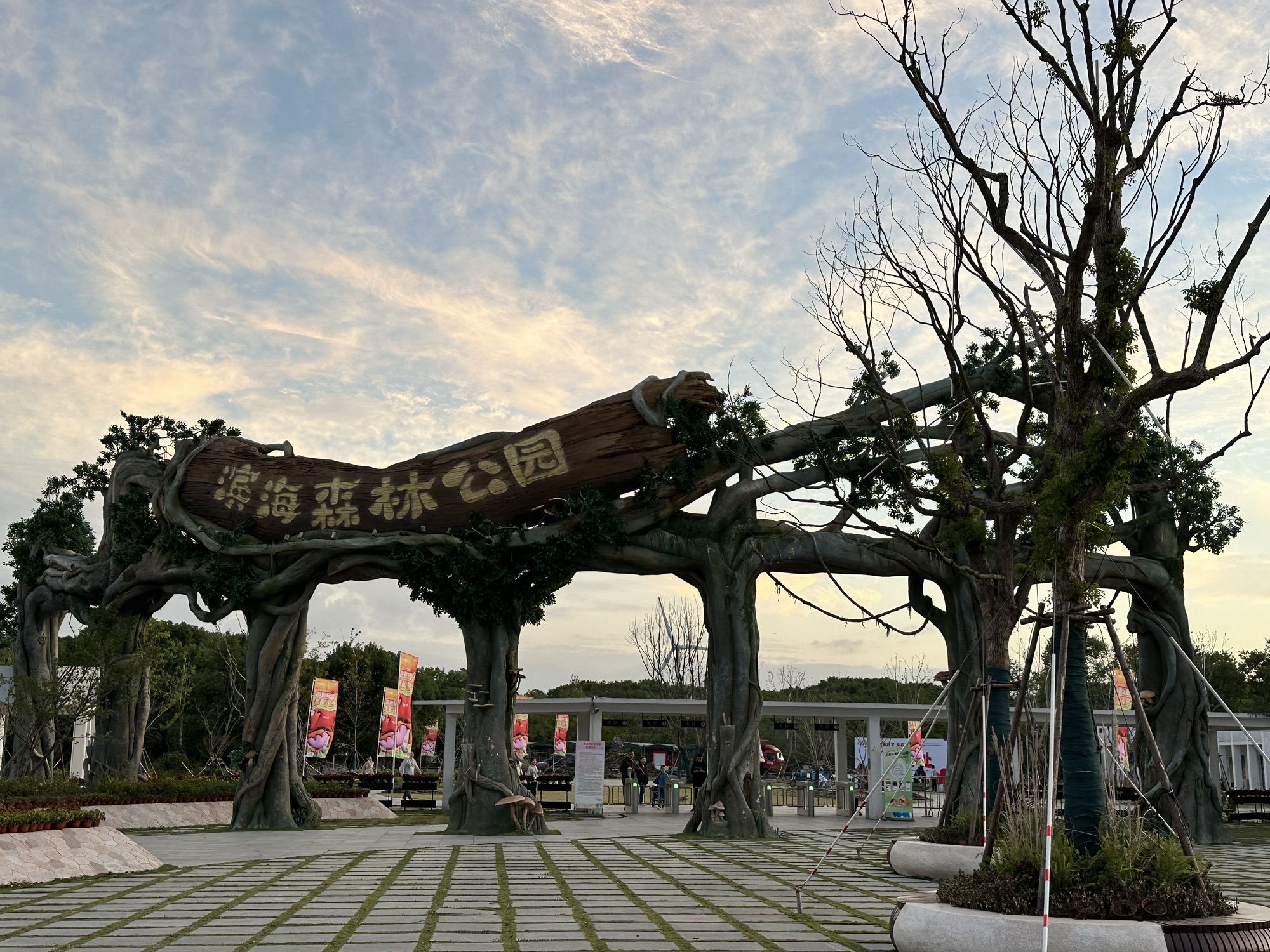 上海滨海森林公园旅行图片 1