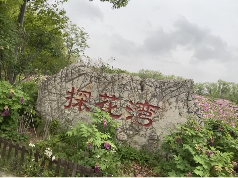 东方假日田园旅行图片 1