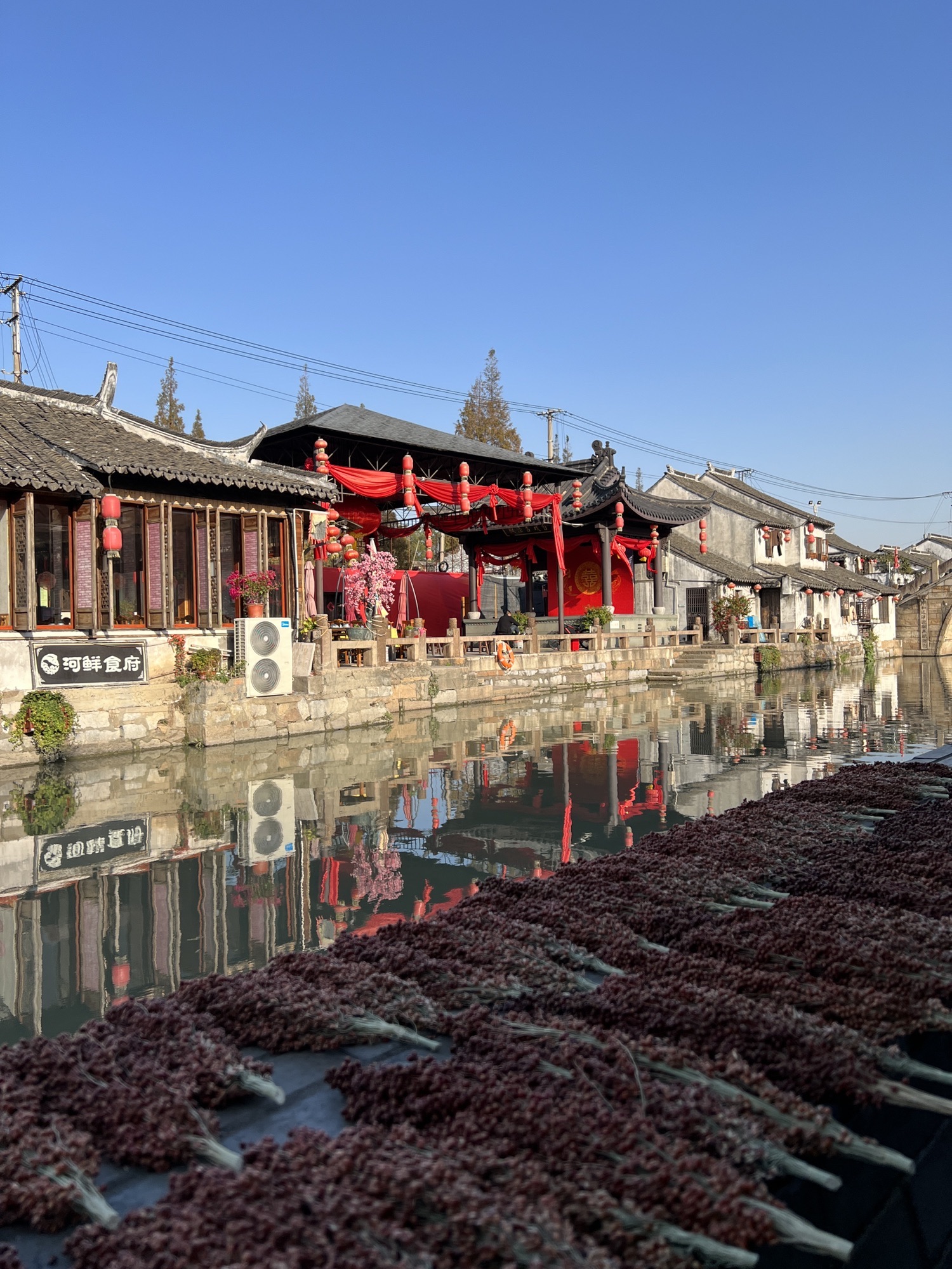 枫泾古镇旅行图片 1