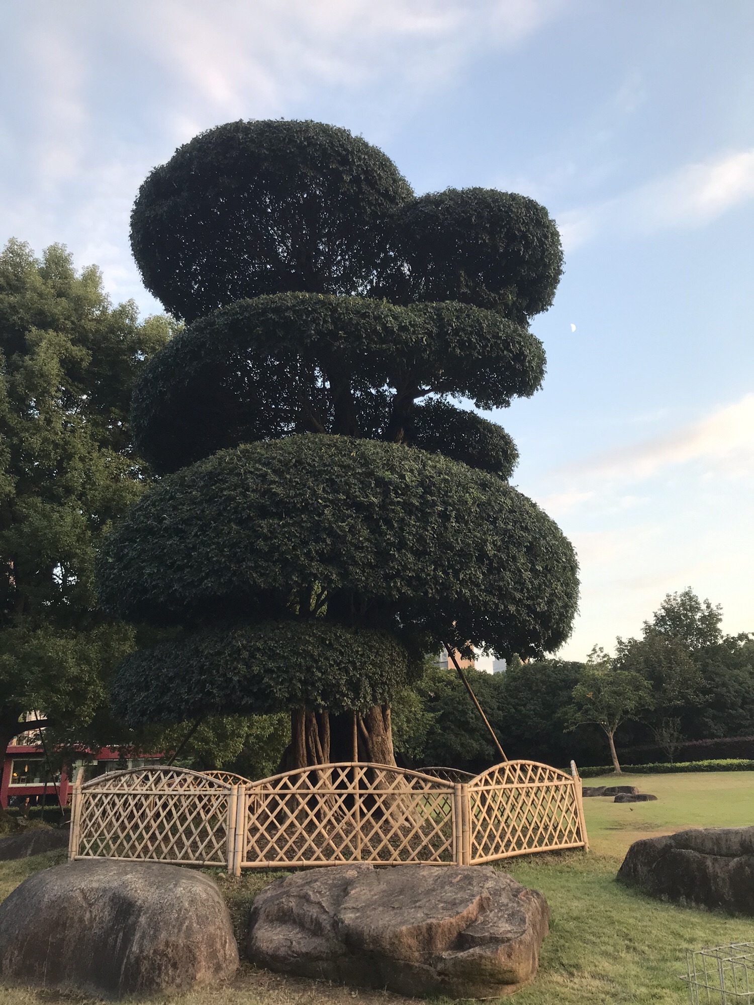 古城公园旅行图片 2