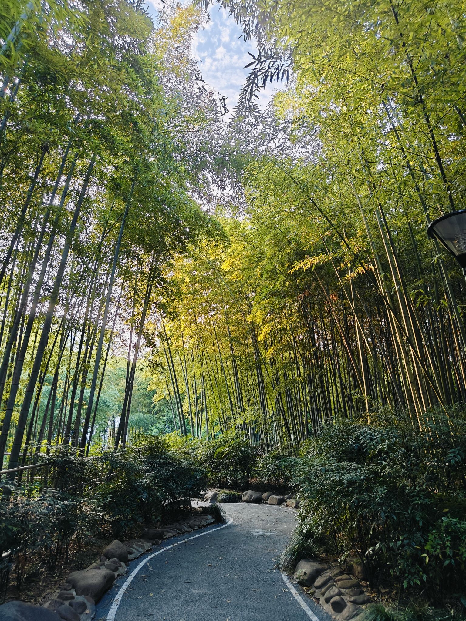 古城公园旅行图片 3