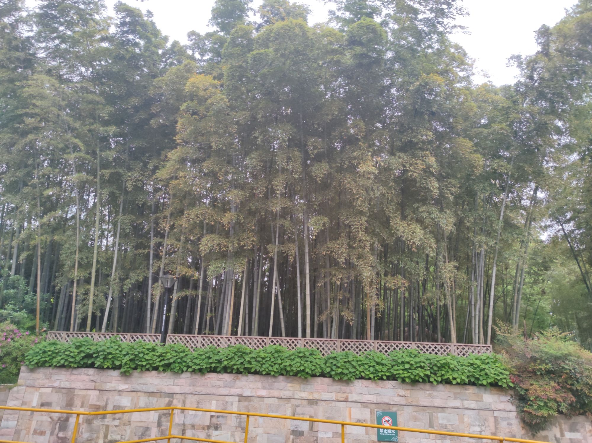 古城公园旅行图片 3