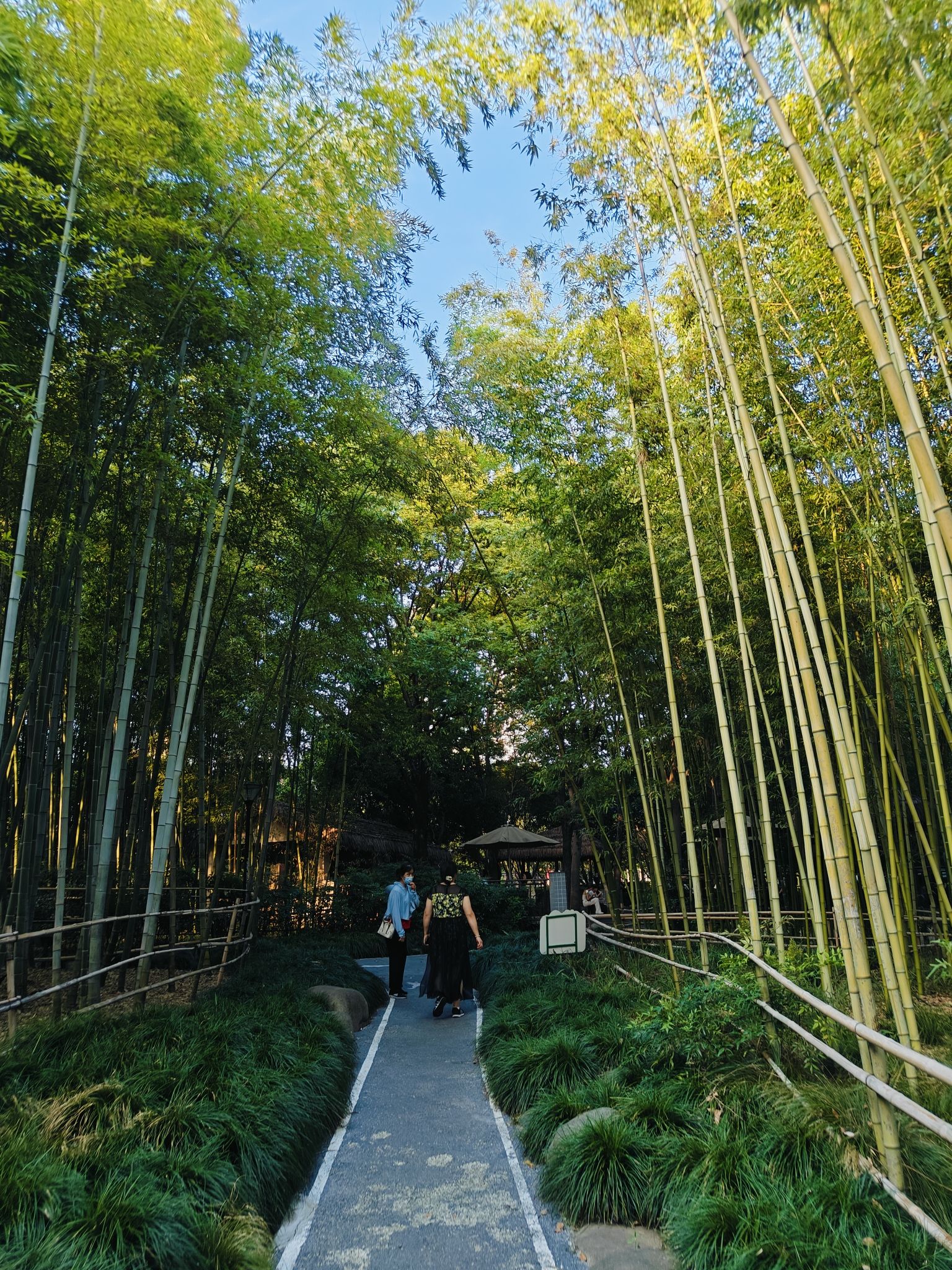 古城公园旅行图片 2
