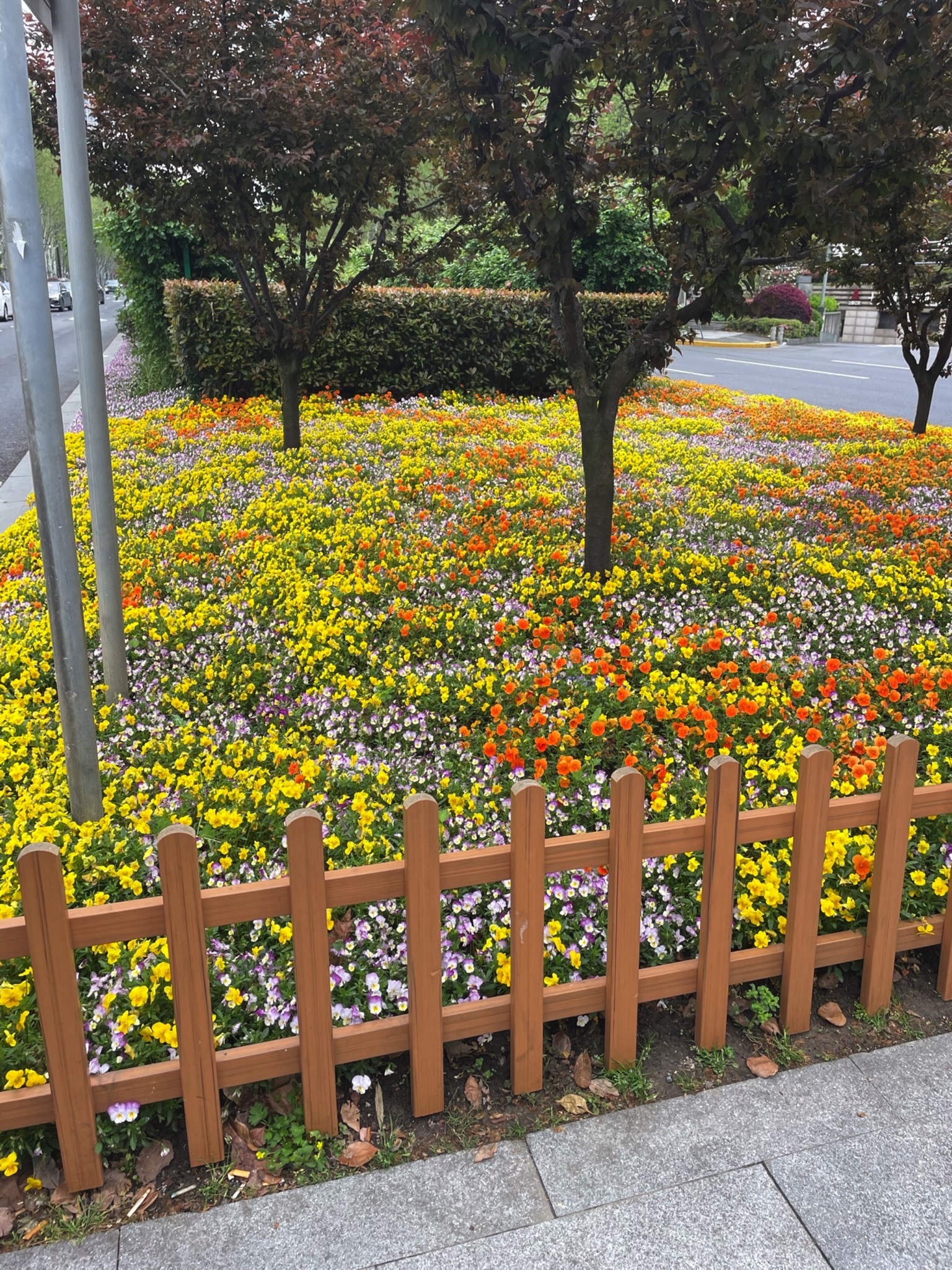 古城公园旅行图片 1