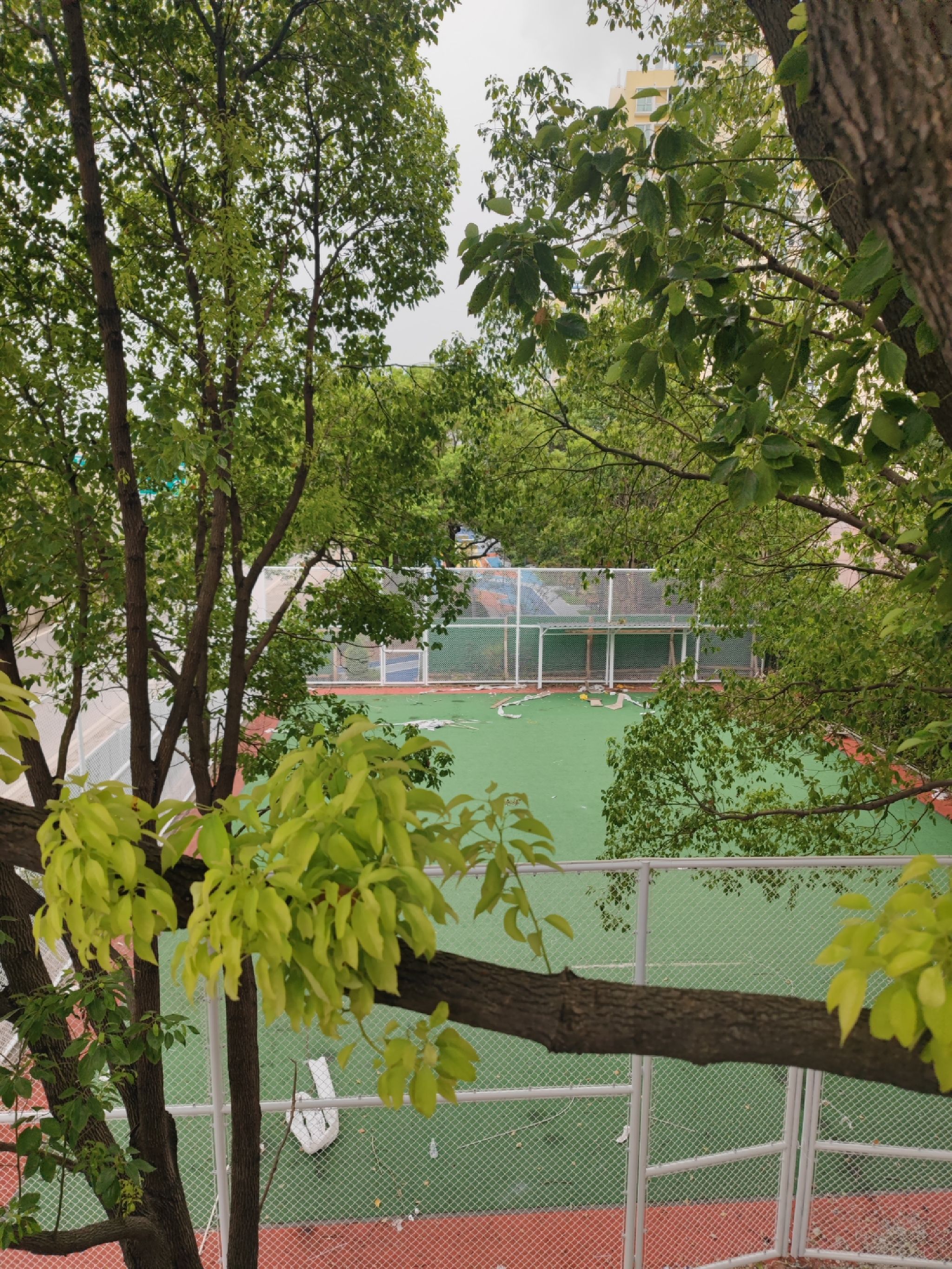 古美中环运动公园旅行图片 1