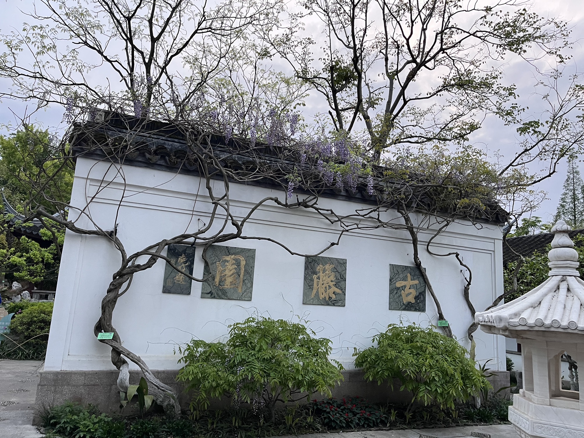 古藤园旅行图片 1