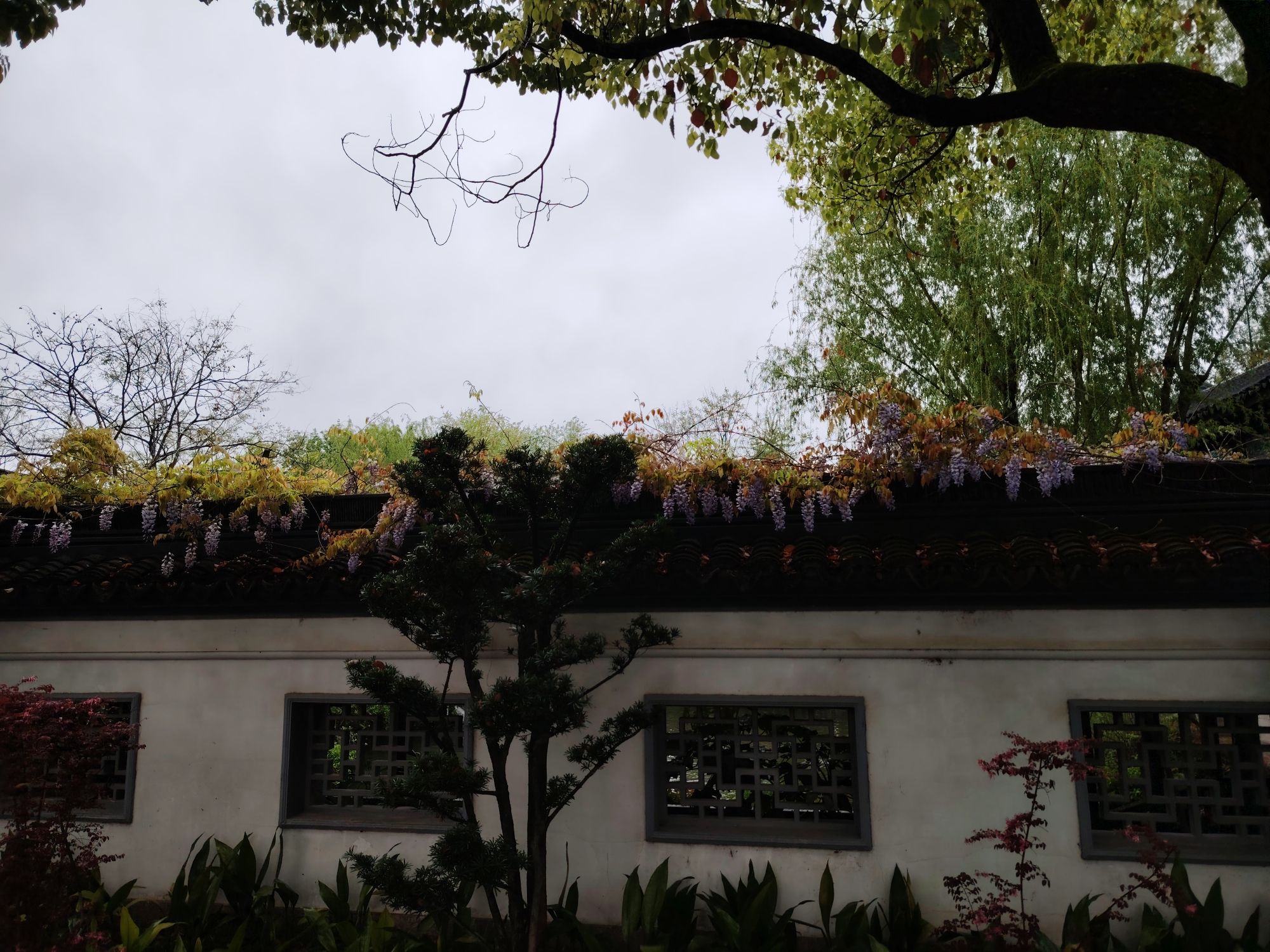 古藤园旅行图片 1