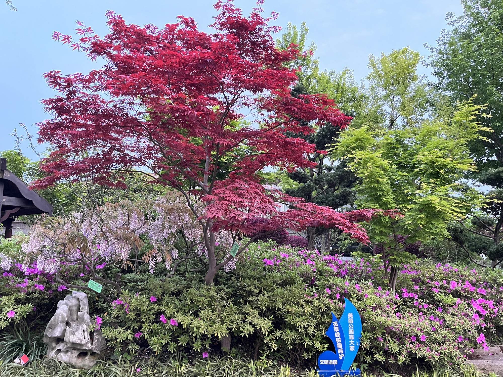 古藤园旅行图片 2
