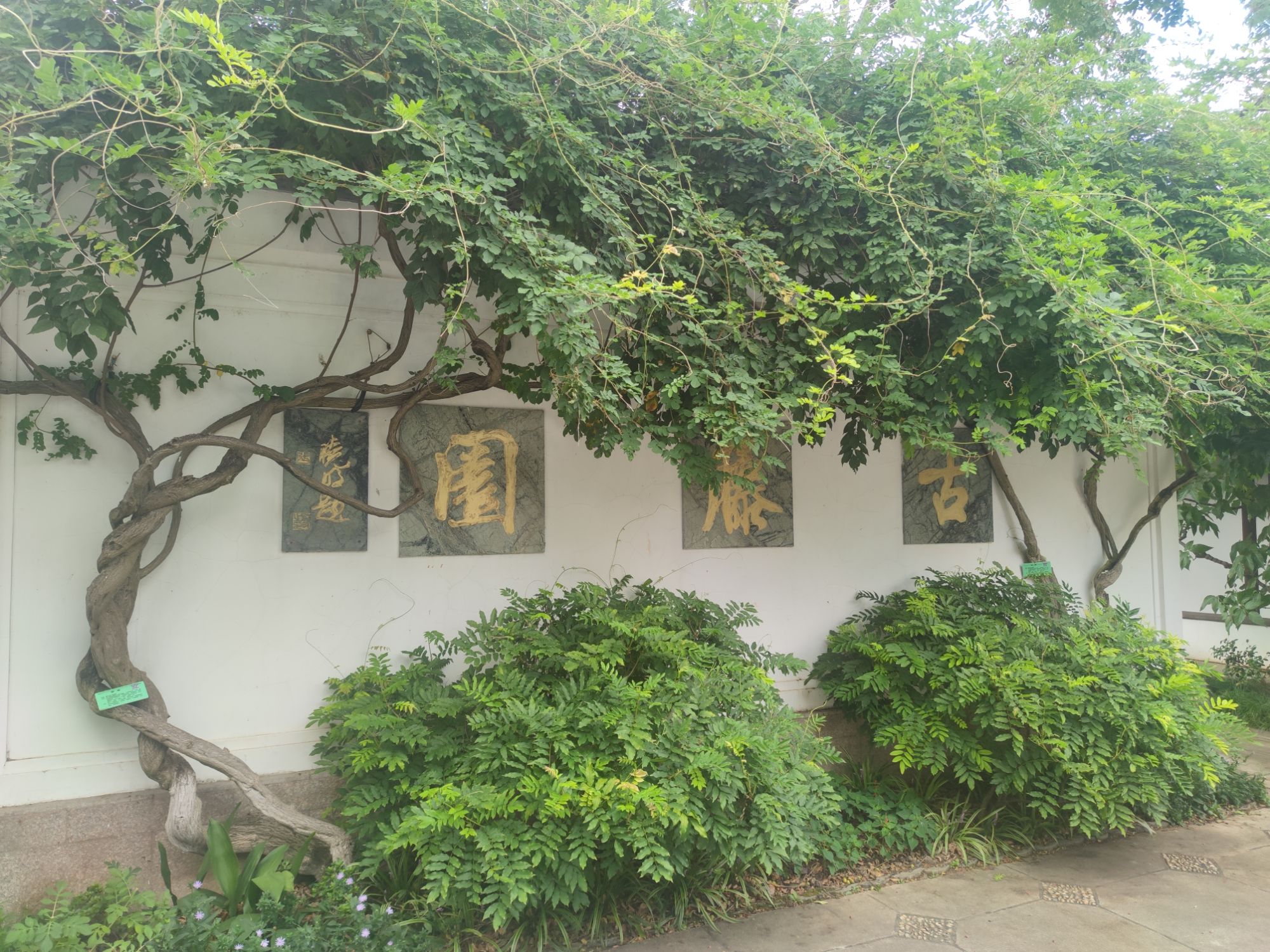 古藤园旅行图片 3