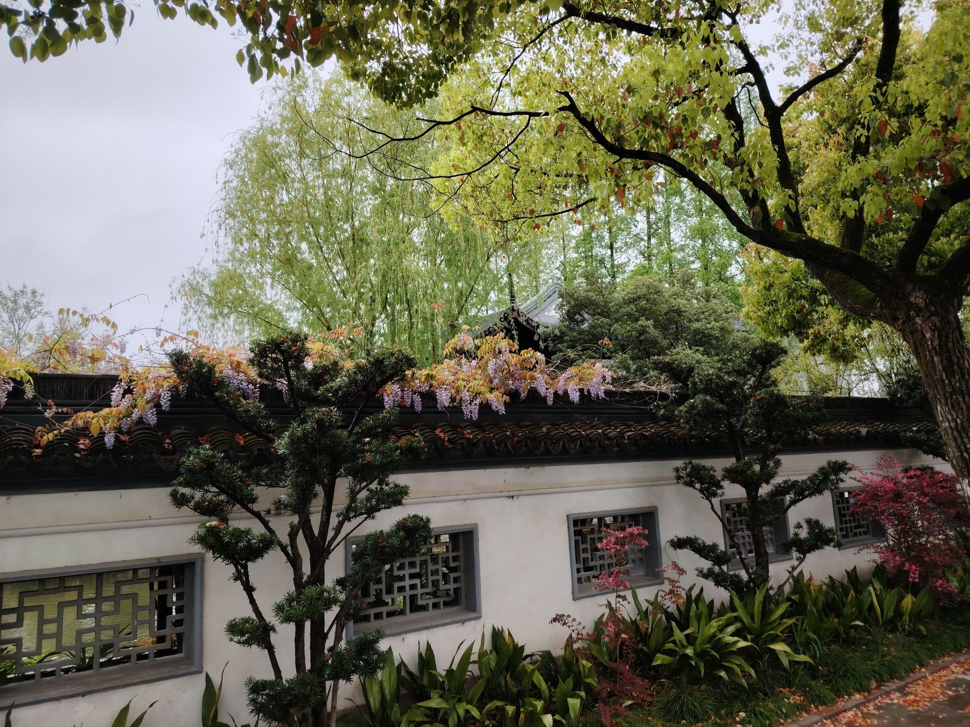古藤园旅行图片 2