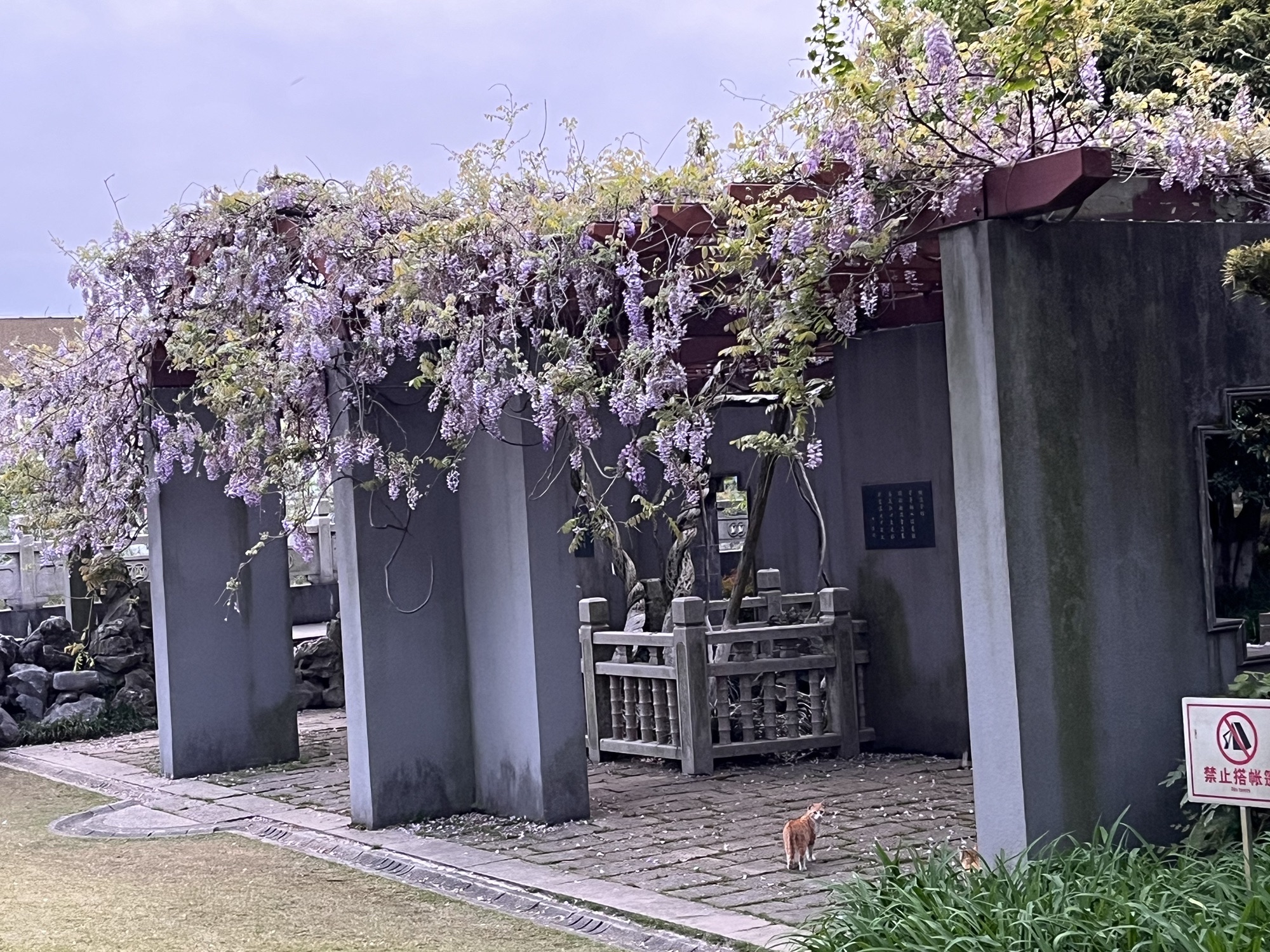 古藤园旅行图片 3