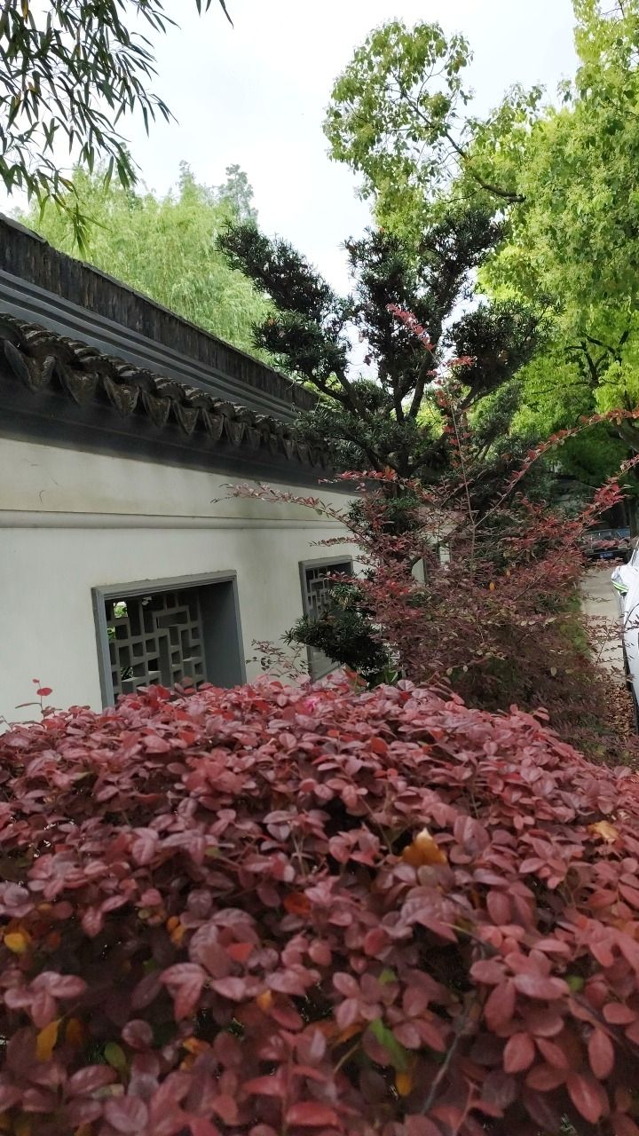 古藤园旅行图片 2